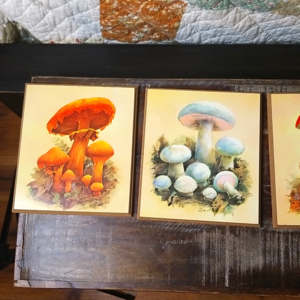 Vintage W.M. Otto MCM 1970's Mushroom Wood Plaques-Set of 4 - Picture 8 of 9